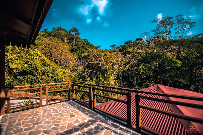 Symphony Samudra Beachside Jungle Resort And Spa